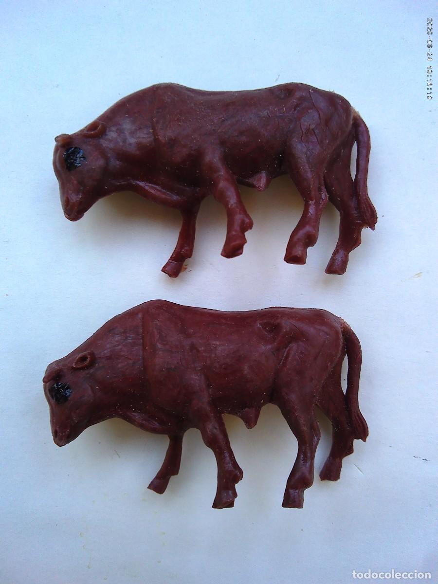 Figuras de Bel&eacute;n: LOTE DE 2 ANTIGUAS FIGURAS DE PLASTICO DEL BELEN : BUEYES