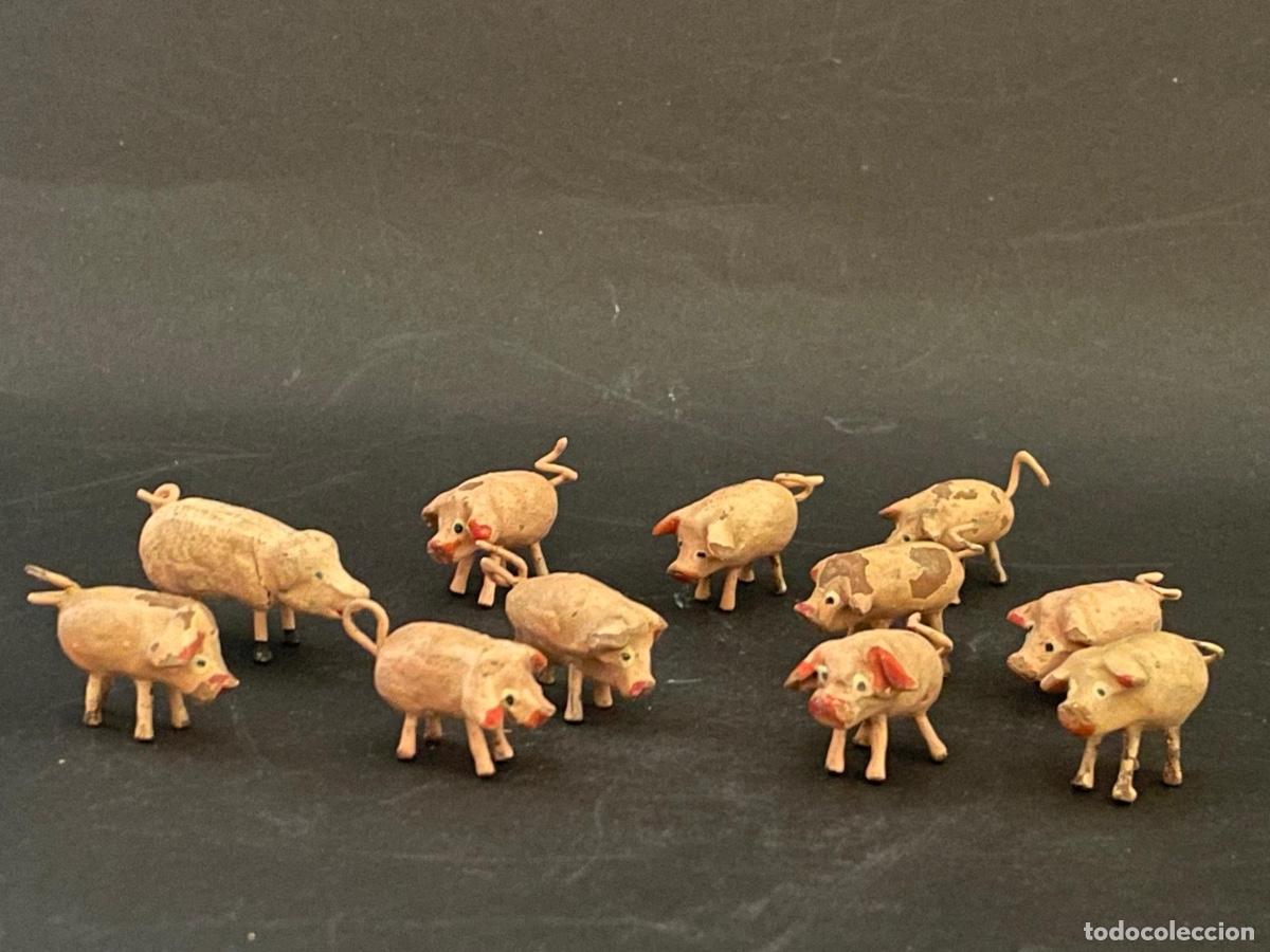 Figuras de Bel&eacute;n: LOTE DE FIGURAS DE BELEN O PESSEBRE EN BARRO O TERRACOTA - CERDOS (ANIMALES)