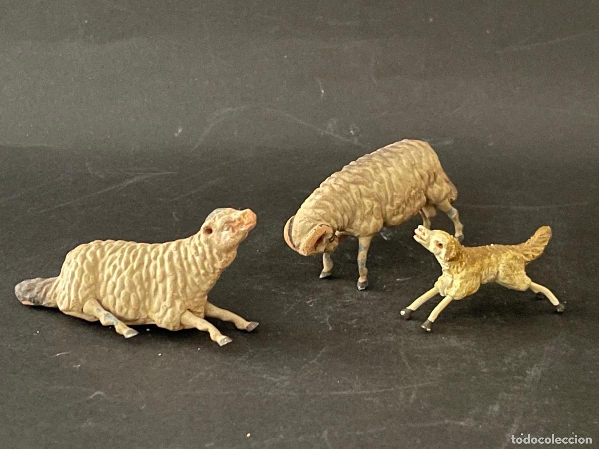 Figuras de Bel&eacute;n: BELEN O PESSEBRE EN BARRO O TERRACOTA - UNA OVEJA - UNA CABRA Y UN PERRO