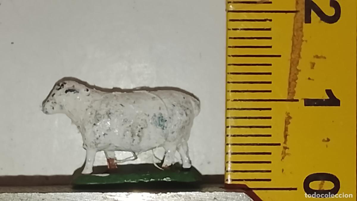 Figuras de Bel&eacute;n: pvc / goma accesorio complemento para portal de belen, pieza animal plastico duro - circo granja