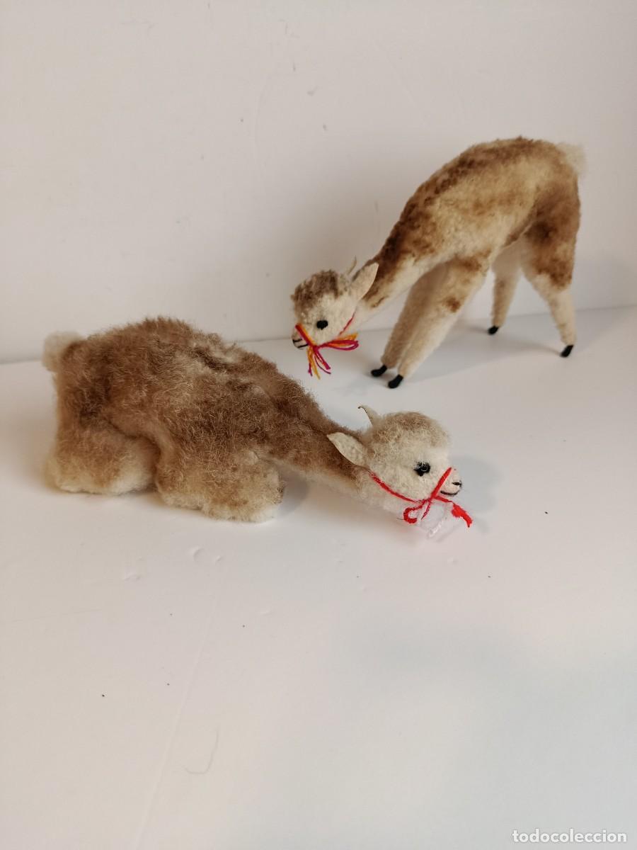 Figuras de Bel&eacute;n: DOS ANIMALES ALPACA PELO DE LANA