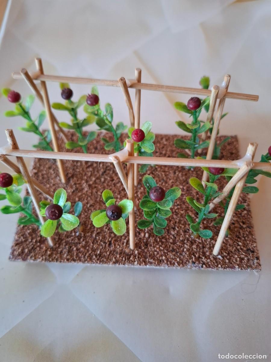 Figuras de Bel&eacute;n: Huerto: tomatera Belen / Pesebre / Nacimiento / Diorama / Playmobil NUEVO