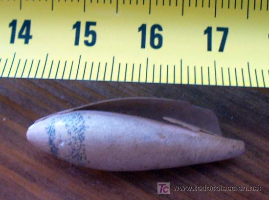Coleccionismo de f&oacute;siles: fosil gasteropodo - Foto 3
