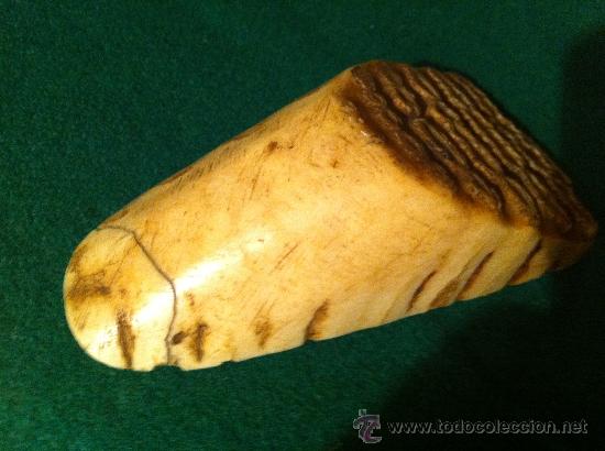 Coleccionismo de f&oacute;siles: FOSIL MOLAR DE MAMUT - Foto 8