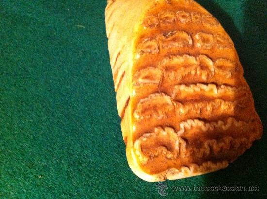 Coleccionismo de f&oacute;siles: FOSIL MOLAR DE MAMUT - Foto 9
