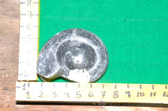 Coleccionismo de f&oacute;siles: ammonites 2 - Foto 1