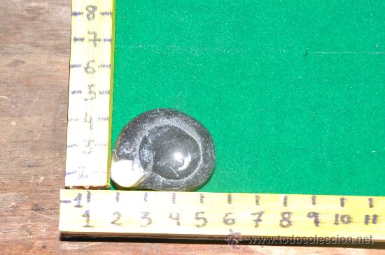 Coleccionismo de f&oacute;siles: ammonites 6 - Foto 1