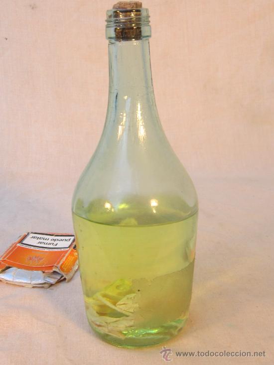 Coleccionismo de f&oacute;siles: REPTILES EN BOTELLA DE ALCOHOL - Foto 2