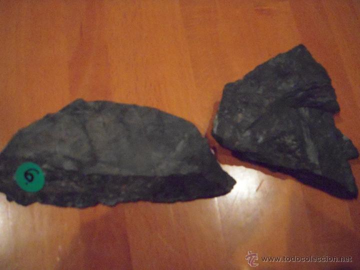 Coleccionismo de f&oacute;siles: 2 f&oacute;siles - Foto 1