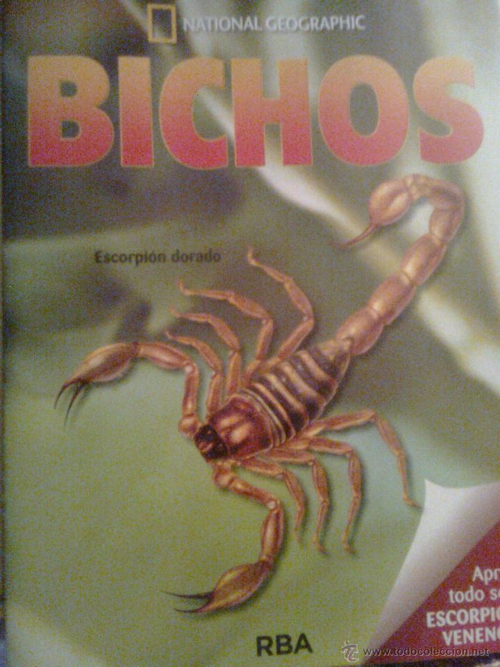fasciculo nº 1 de la colección bichos de rba - - Comprar Fósiles en ...