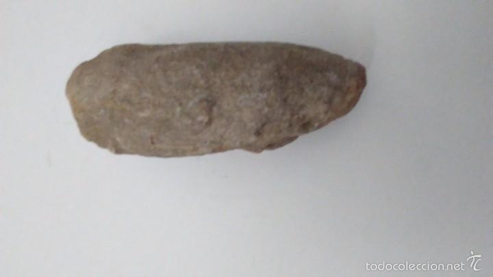 Coleccionismo de f&oacute;siles: F&oacute;sil Trilobites - Foto 6