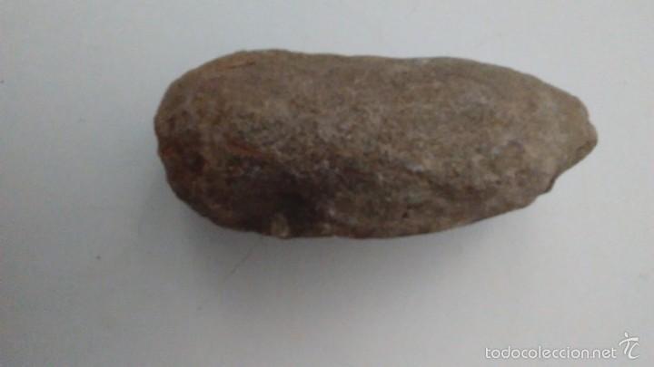 Coleccionismo de f&oacute;siles: F&oacute;sil Trilobites - Foto 11