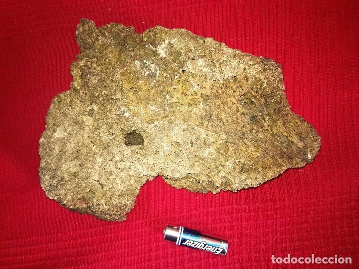 Coleccionismo de f&oacute;siles: Gran Pieza de travertino. - Foto 1