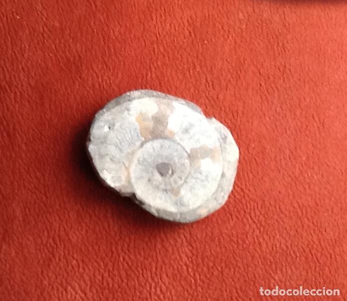 Coleccionismo de f&oacute;siles: FOSIL ENVIO INCLUIDO. - Foto 1