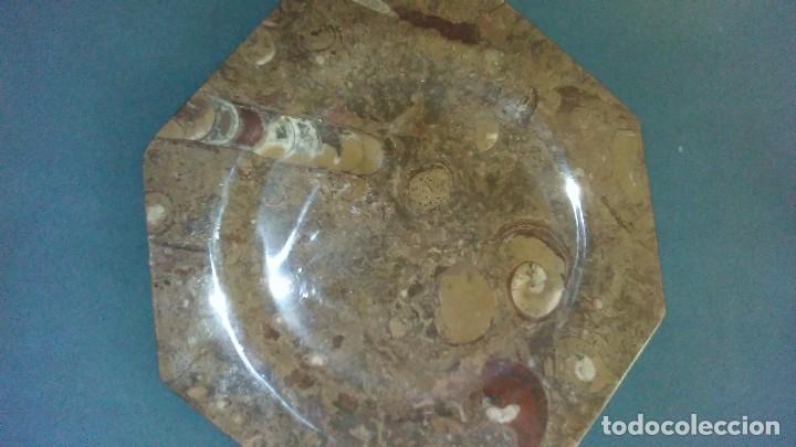 Coleccionismo de f&oacute;siles: Plato octogonal con f&oacute;siles - Foto 1