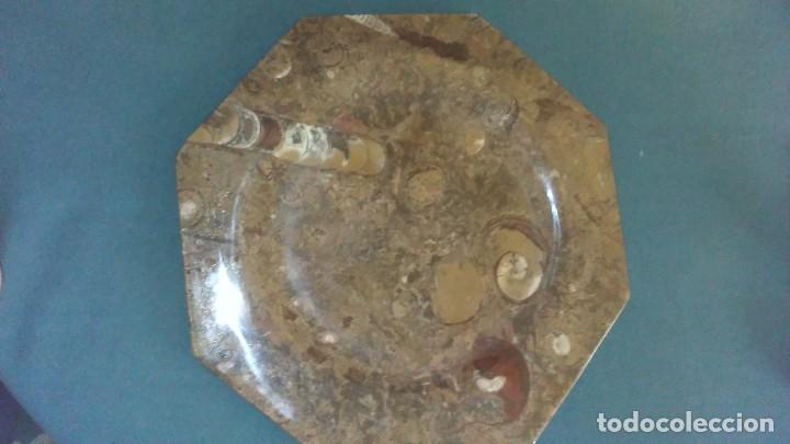 Coleccionismo de f&oacute;siles: Plato octogonal con f&oacute;siles - Foto 4