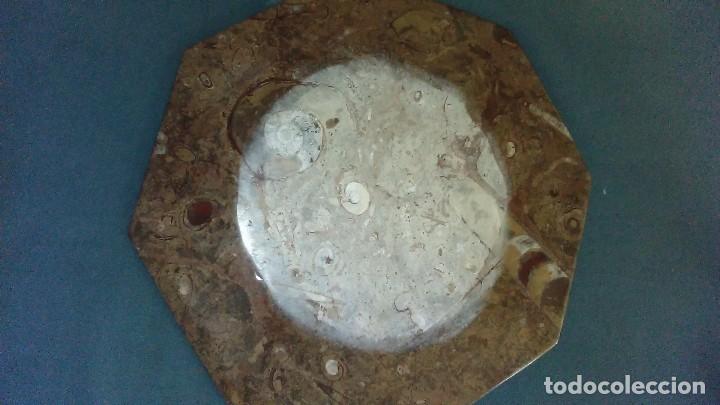 Coleccionismo de f&oacute;siles: Plato octogonal con f&oacute;siles - Foto 5
