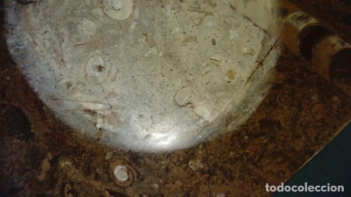 Coleccionismo de f&oacute;siles: Plato octogonal con f&oacute;siles - Foto 8