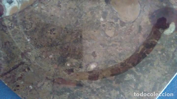 Coleccionismo de f&oacute;siles: Plato octogonal con f&oacute;siles - Foto 10