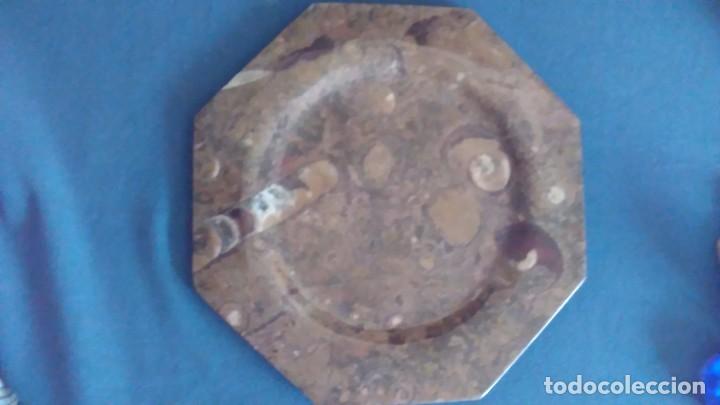 Coleccionismo de f&oacute;siles: Plato octogonal con f&oacute;siles - Foto 13