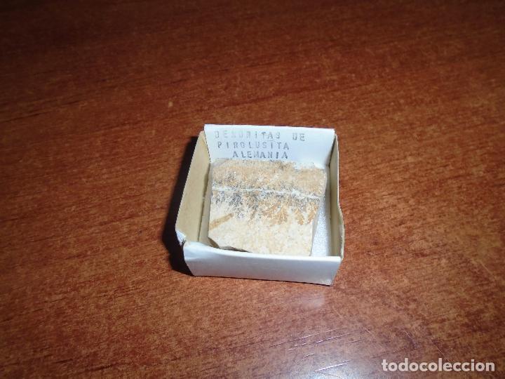Coleccionismo de f&oacute;siles: DENDRITA DE PIROLUSITA - Foto 2