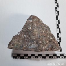 Coleccionismo de fósiles: FOSIL PEZ KUJDANOWIASPIS PODOLICA DEVONICO UCRANIA PALEONTOLOGIA. UNICO EN TODOCOLECCION.