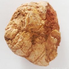 Coleccionismo de fósiles: RASTRO FÓSIL DE COPROLITO DE PEQUEÑO DINOSAURIO - , 65 MILLONES DE AÑOS. INN. Lote 158892522