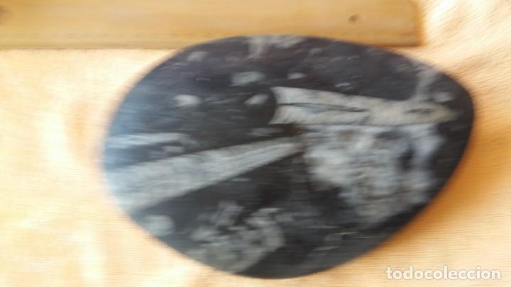Coleccionismo de f&oacute;siles: Orthoceras - Foto 1