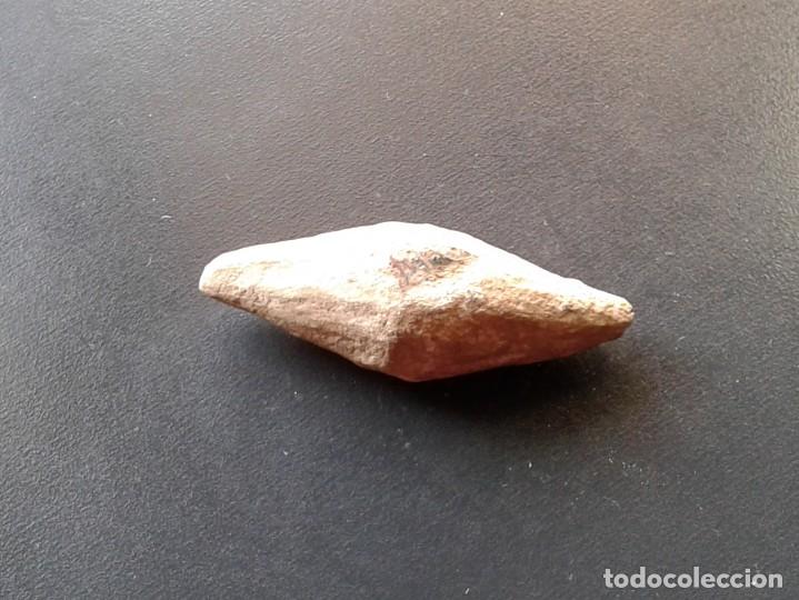 Coleccionismo de f&oacute;siles: FOSILES - Foto 3