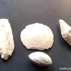 Coleccionismo de fósiles: FOSILES. Lote 187154681