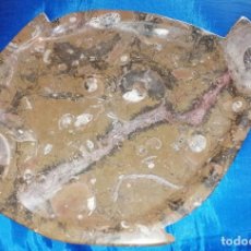 Coleccionismo de fósiles: BANDEJA DE PIEDRA CON FOSILES INCRUSTADOS EN FORMA DE PESCADO RODABALLO 38X25 CM.. Lote 190281746