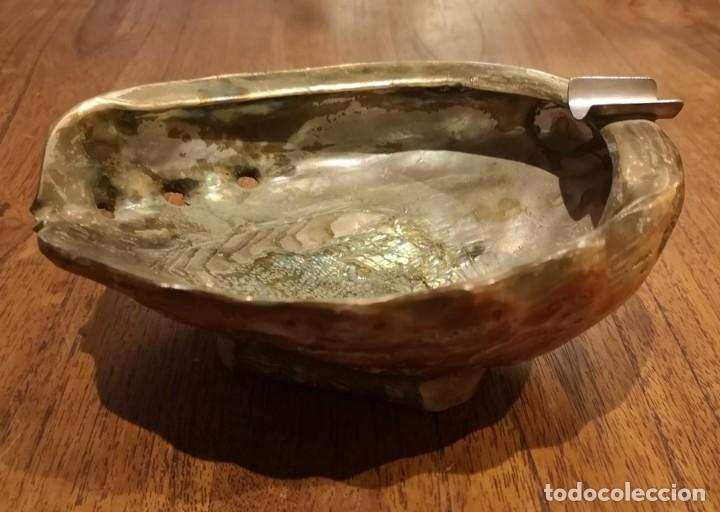 Coleccionismo de f&oacute;siles: Cenicero con Concha de Haliotis - Foto 2