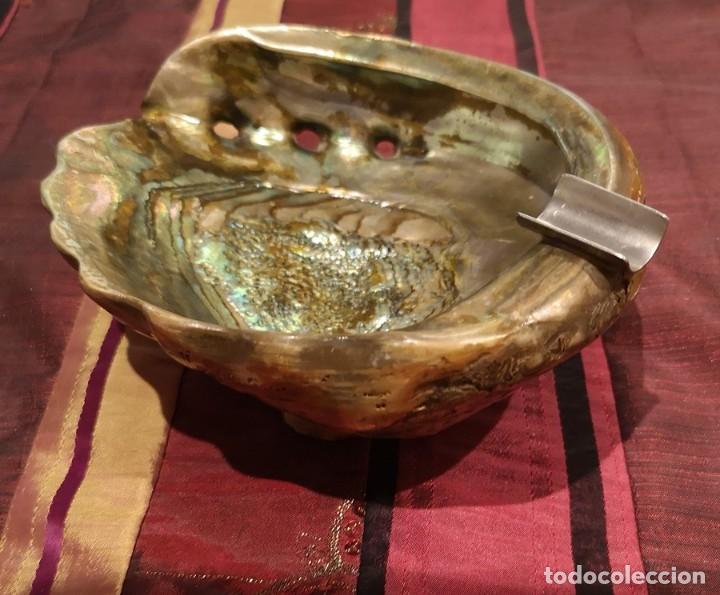 Coleccionismo de f&oacute;siles: Cenicero con Concha de Haliotis - Foto 4