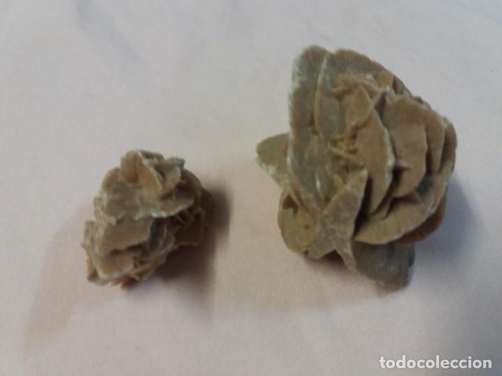 Coleccionismo de f&oacute;siles: ROSA DEL DESIERTO - Foto 1