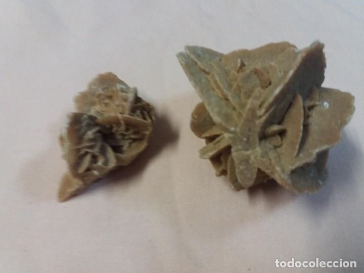 Coleccionismo de f&oacute;siles: ROSA DEL DESIERTO - Foto 2