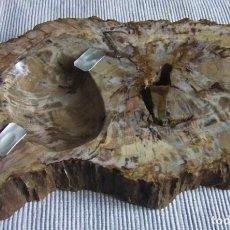 Coleccionismo de fósiles: MAGNÍFICO TRONCO DE MADERA (XILÓPALO) FÓSIL - CENICERO. Lote 244418520