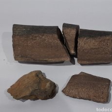 Coleccionismo de fósiles: FOSIL POR CLASIFICAR. VER FOTOS Y DESCRIPCIÓN.. Lote 249023130