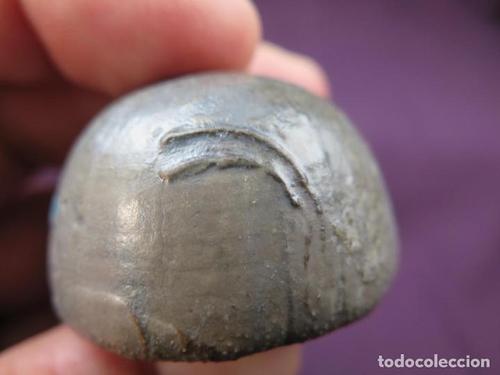 Oursin Fossile Camerogalerus Cylindricus - Spécimen Naturel 49g (Blanc)