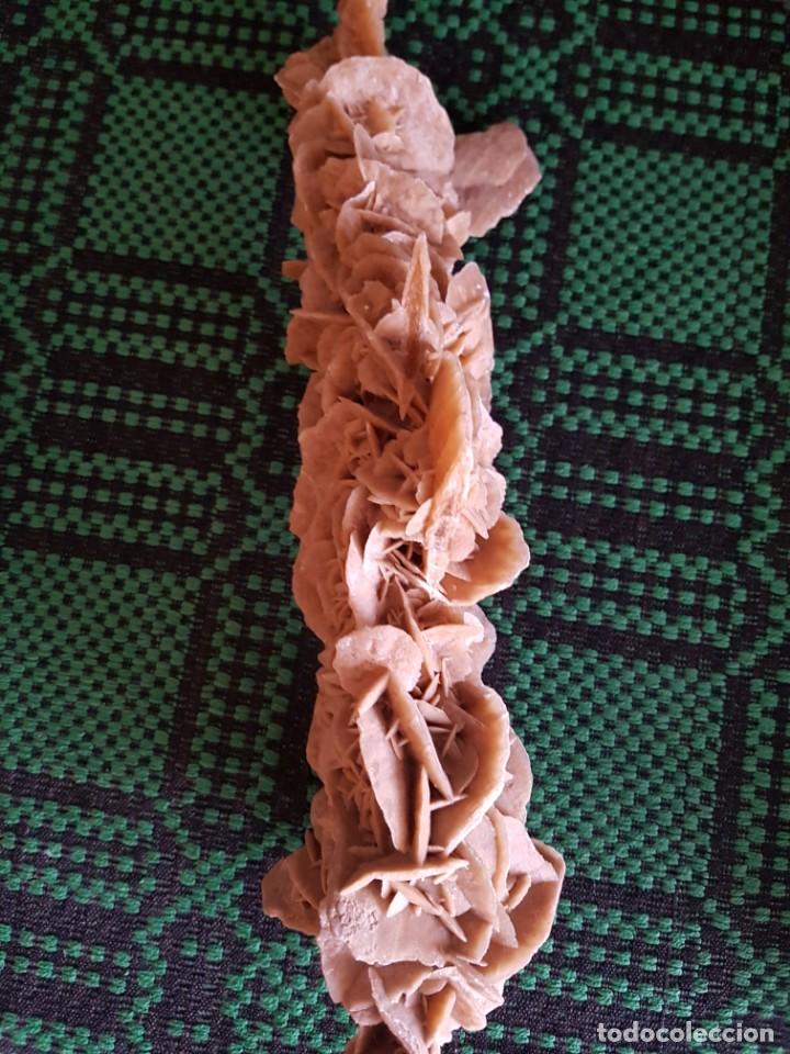 Coleccionismo de f&oacute;siles: Rosa del desierto - Foto 1