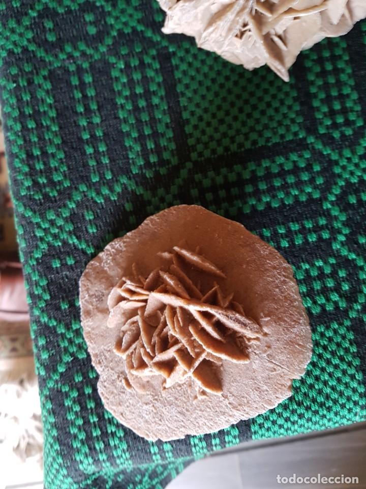 Coleccionismo de f&oacute;siles: Rosa del desierto - Foto 1