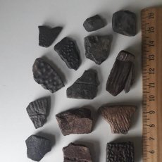 Coleccionismo de fósiles: 21 TROZOS DE CAPARAZON DE TORTUGA FOSILIZADOS.. Lote 336423603