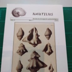 Coleccionismo de fósiles: REVISTA NAUTILUS NUM. 7. FOSILES. PALEONTOLOGIA.