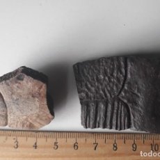Coleccionismo de fósiles: DOS TROZOS. CAPARAZÓN DE TORTUGA FÓSIL. Lote 342217628