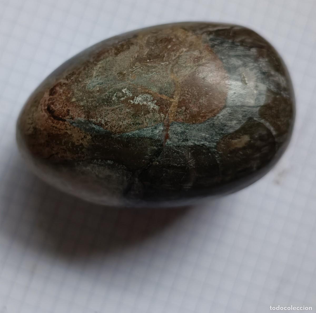 Coleccionismo de f&oacute;siles: OTHOCERAS MOROCCAN FOSSILS - Foto 4