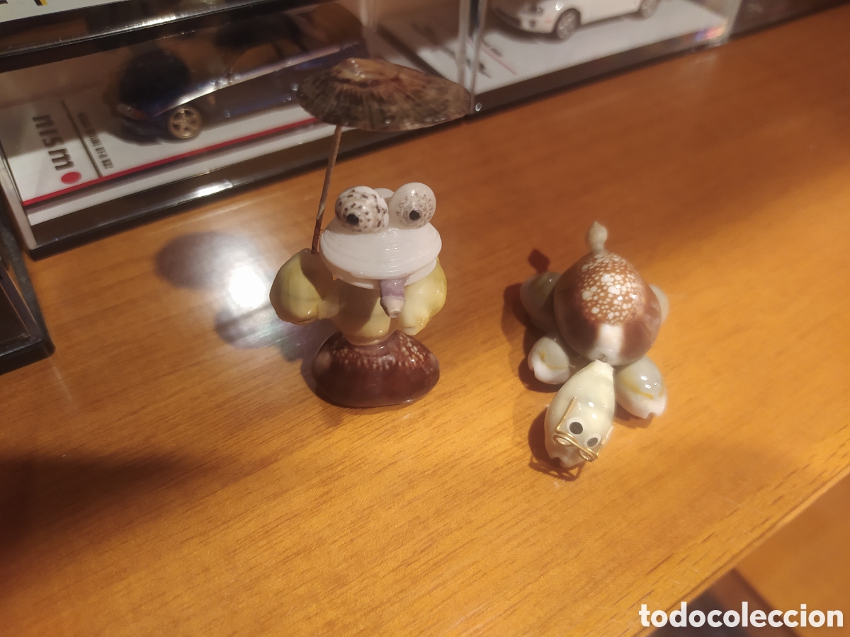Coleccionismo de f&oacute;siles: Figuras con conchas tortuga - Foto 1