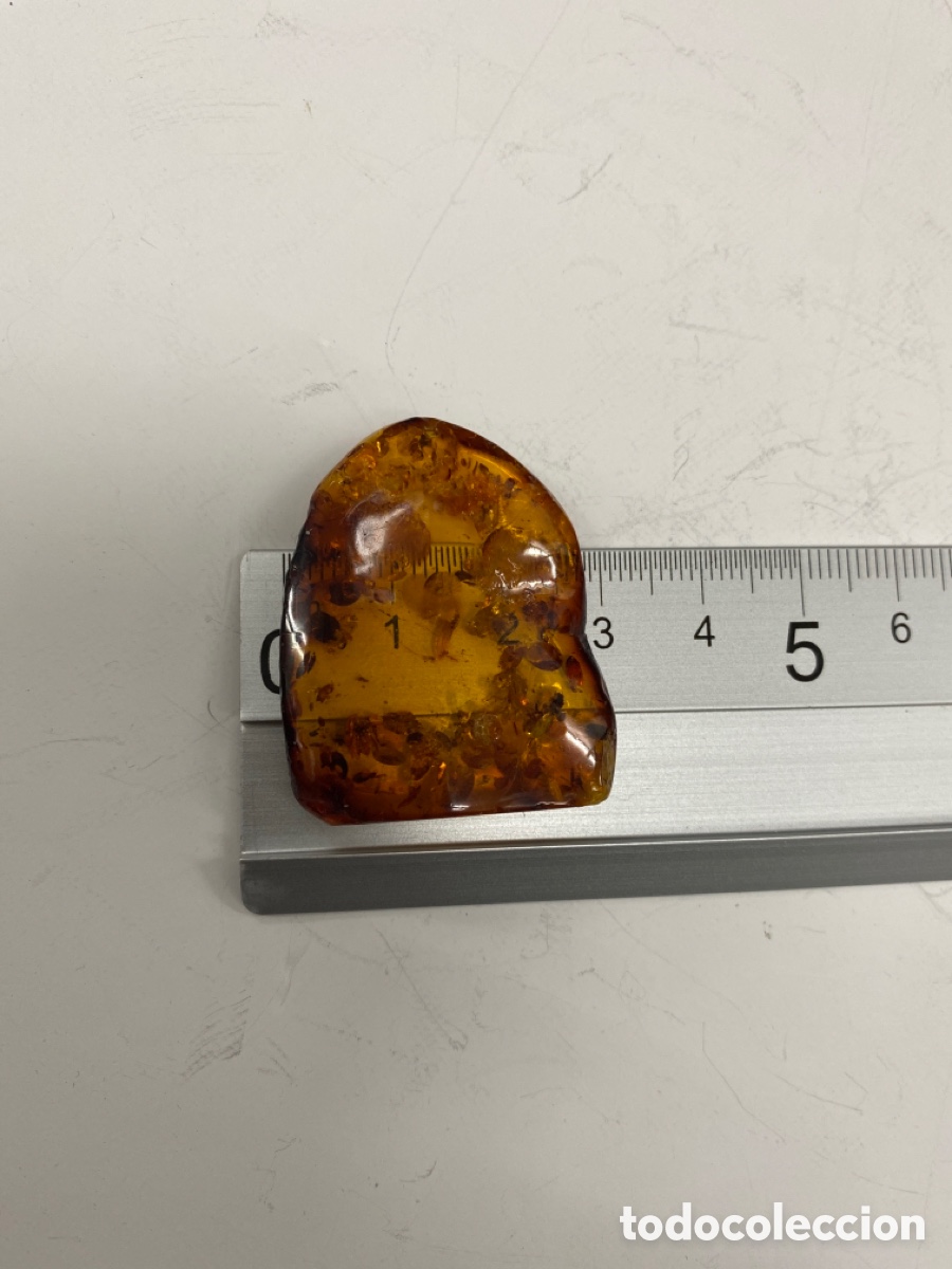 Coleccionismo de f&oacute;siles: &Aacute;mbar natural 5 gramos - Foto 3