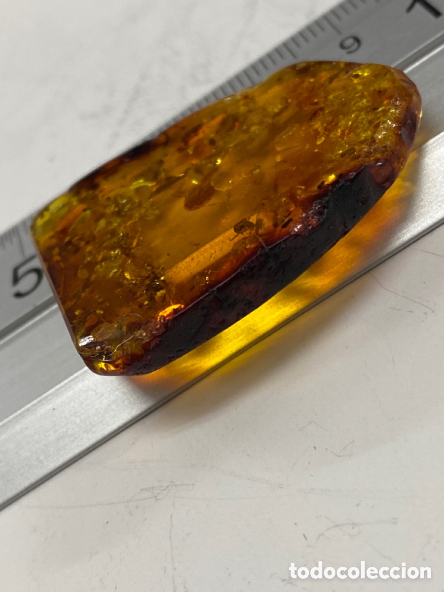 Coleccionismo de f&oacute;siles: &Aacute;mbar natural 5 gramos - Foto 5