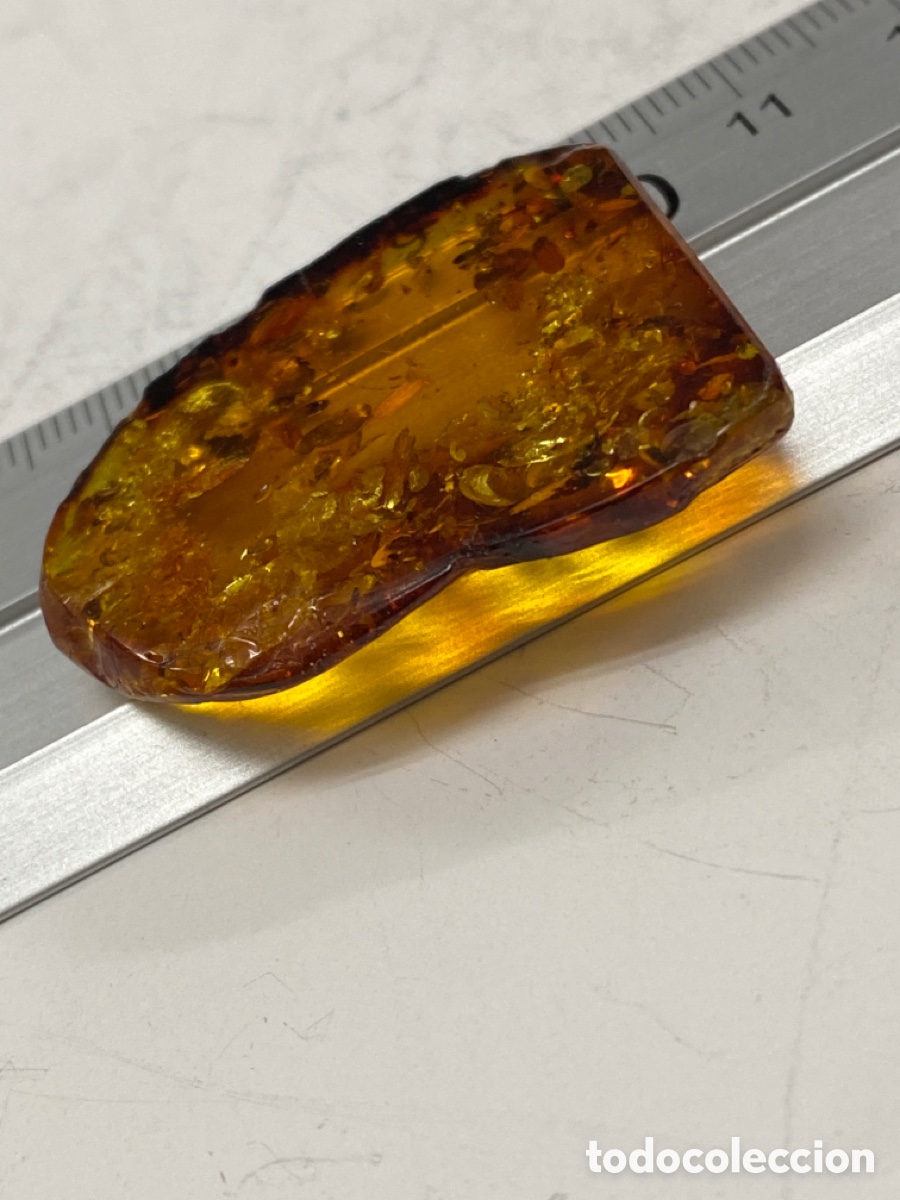 Coleccionismo de f&oacute;siles: &Aacute;mbar natural 5 gramos - Foto 6