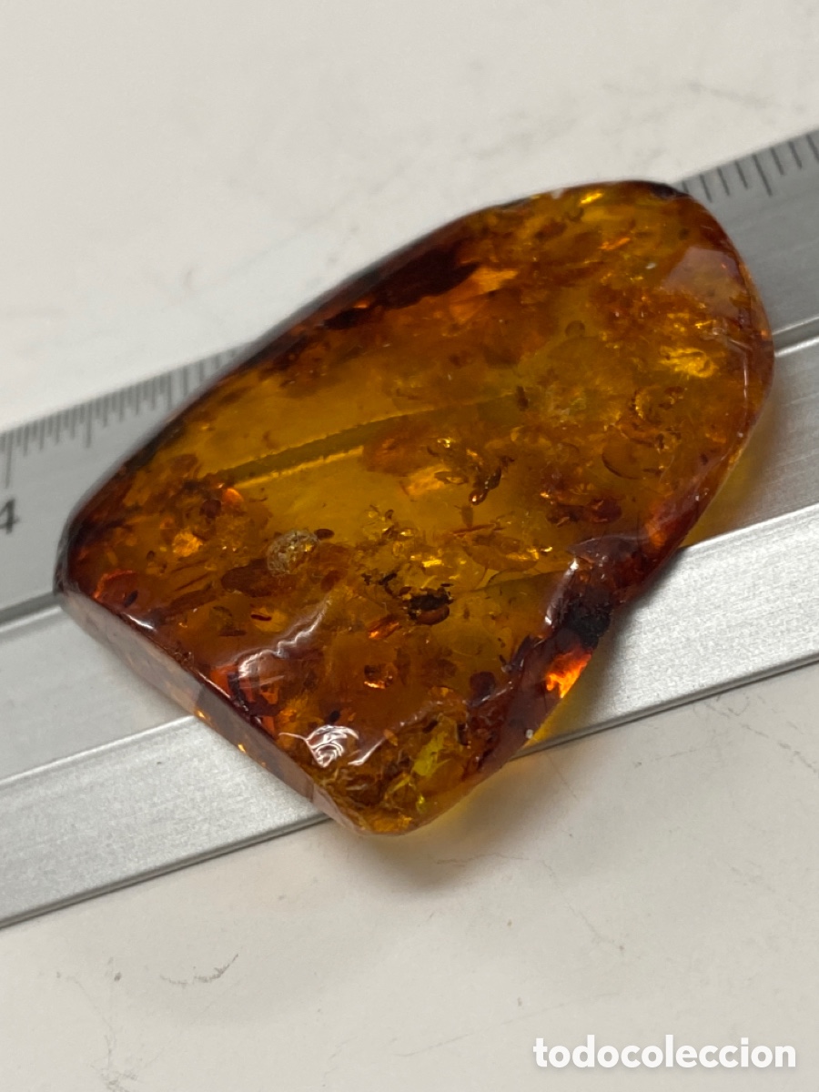 Coleccionismo de f&oacute;siles: &Aacute;mbar natural 5 gramos - Foto 7