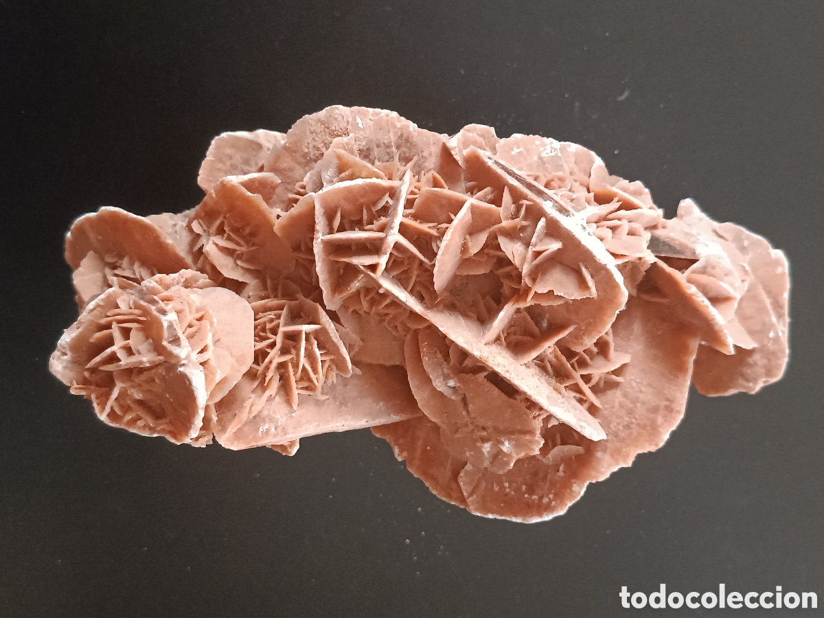 Coleccionismo de f&oacute;siles: Rosa del desierto - Foto 3